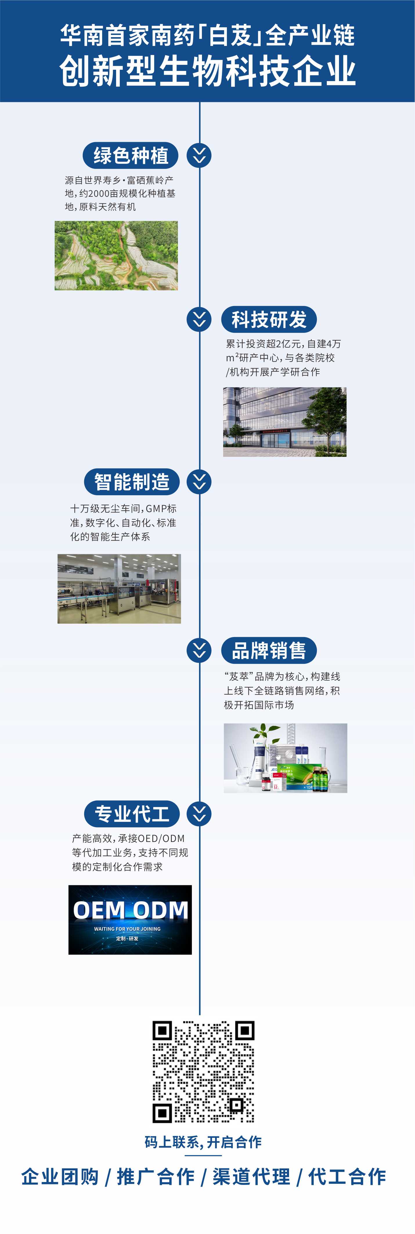 业务范围